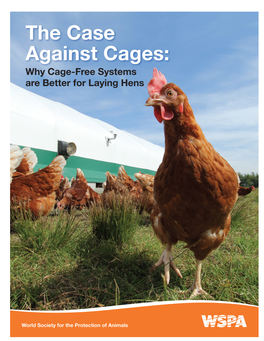 The Case Against Cages (PDF)