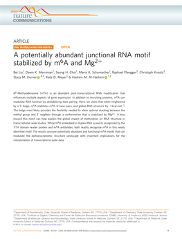 A Potentially Abundant Junctional RNA Motif Stabilized by M6a and Mg2+