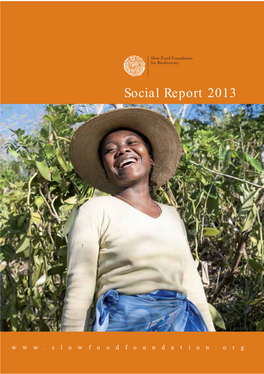 Social Report 2013