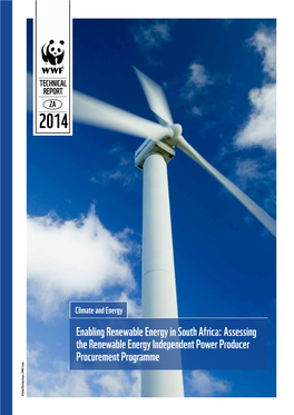 Assessing the Renewable Energy Independent Power Producer