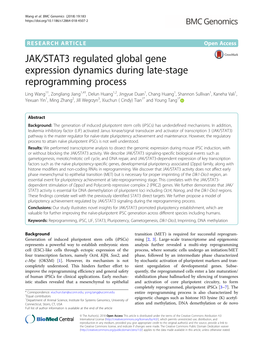 JAK/STAT3 Regulated Global Gene Expression Dynamics During Late-Stage Reprogramming Process