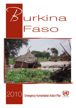 Burkinafaso EHAP2010.Pdf