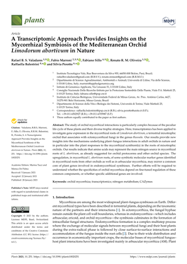 A Transcriptomic Approach Provides Insights on the Mycorrhizal Symbiosis of the Mediterranean Orchid Limodorum Abortivum in Nature