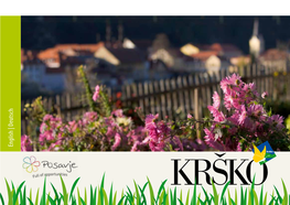 English | Deutsch KRŠKO the Gallery of the Time It Is Good to Know Krško Is the Capital of Posavje and the Centre of the and Energetic Rainbow Municipality