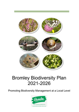 Bromley Biodiversity Plan 2021-2026