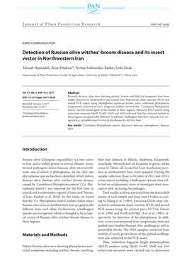 Broom Disease and Its Insect Vector in Northwestern Iran