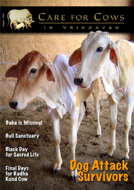 Care for Cows in Vrindavana All Things Auspicious Must Diminish
