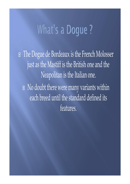 Dogue De Bordeaux Is the French Molosser Just As the Mastiff Is the British One and the Neapolitan Is the Italian One