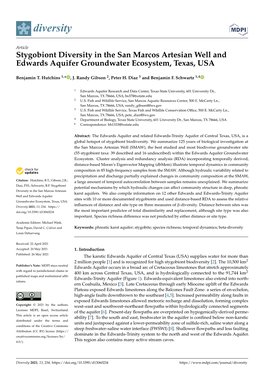 Stygobiont Diversity in the San Marcos Artesian Well and Edwards Aquifer Groundwater Ecosystem, Texas, USA