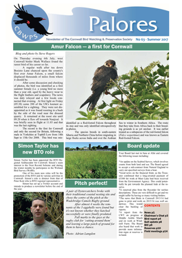 Simon Taylor Has New BTO Role Board Update Amur Falcon — a First For