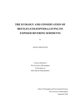 Coleoptera) Living on Exposed Riverine Sediments