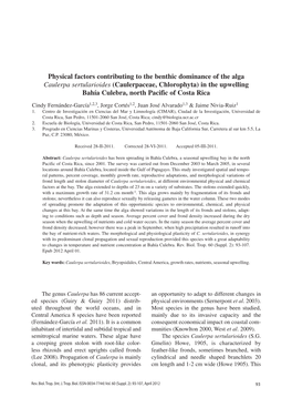 Physical Factors Contributing to the Benthic Dominance of the Alga