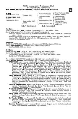 FOAL, Consigned by Trickledown Stud the Property of a Partnership Will Stand at Park Paddocks, Further Paddock, Box 446