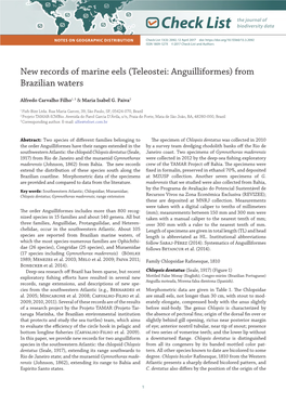 New Records of Marine Eels (Teleostei: Anguilliformes) from Brazilian Waters