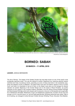 Borneo: Sabah