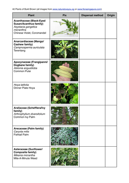 40 Plants of Bukit Brown Worksheet