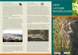 New Lanark Woodlands Woodlands TODAY