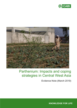 Parthenium: Impacts and Coping Strategies in Central West Asia Evidence Note (March 2019)
