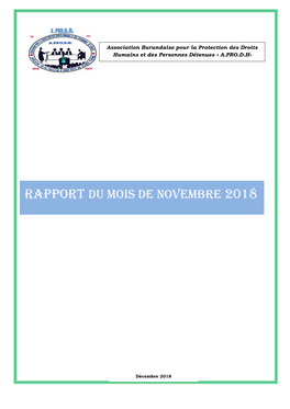 Rapport Du Mois De Novembre 2018