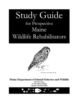 Maine Wildlife Rehabilitators