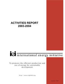 International Energy Initiative