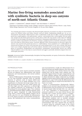 Marine Free-Living Nematodes Associated with Symbiotic Bacteria in Deep-Sea Canyons of North-East Atlantic Ocean Alexei V