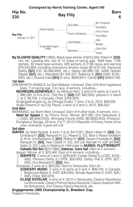 Bay Filly Barn 6 Hip No