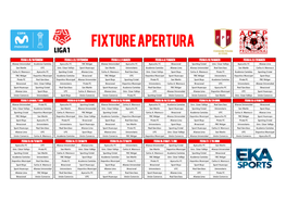 Fixture Apertura