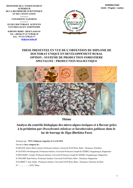 Analyse Du Contrôle Biologique Des Micro-Algues Toxiques Et À Flaveur Grâce À La Prédation Par Oreochromis Niloticus Et