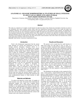 ANATOMICAL and SOME MORPHOMETRICAL FEATURES of SMALL INTESTINE in ADULT LOCAL SHEEP ( OVIS ARIES ) in IRAQ Israa G