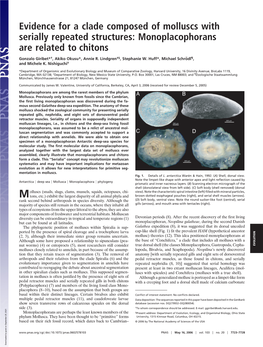 Evidence for a Clade Composed of Molluscs with Serially Repeated Structures: Monoplacophorans Are Related to Chitons