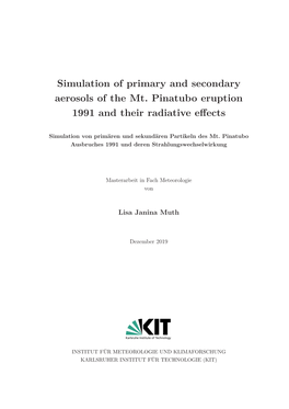 Simulation of Primary and Secondary Aerosols of the Mt. Pinatubo Eruption 1991 and Their Radiative Eﬀects