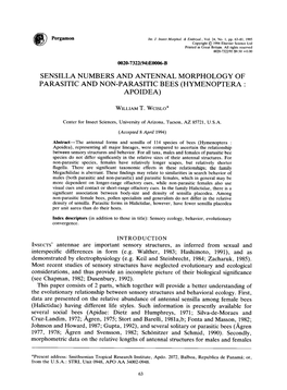 Sensilla Numbers and Antennal Morphology of Parasitic and Non-Parasitic Bees (Hymenoptera : Apoidea)