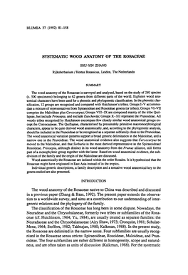 Phylogeny of the Family. Dispute. Nowadays, Chrysobalaneae