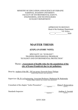 Master Thesis