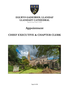 Appointment of a Chief Executive & Chapter Clerk