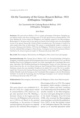 On the Taxonomy of the Genus Rosacris Bolívar, 1931 (Orthoptera: Tetrigidae)