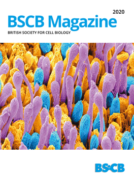 BSCB Magazine BRITISH SOCIETY for CELL BIOLOGY