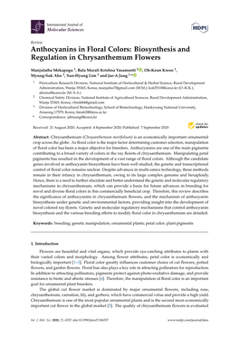Anthocyanins in Floral Colors: Biosynthesis and Regulation in Chrysanthemum Flowers