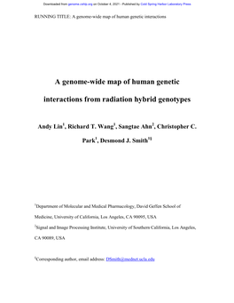 A Genome-Wide Map of Human Genetic Interactions from Radiation Hybrid Genotypes