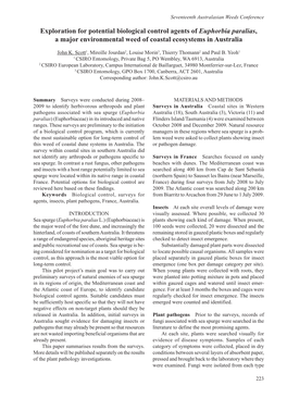 Exploration for Potential Biological Control Agents of Euphorbia Paralias, a Major Environmental Weed of Coastal Ecosystems in Australia