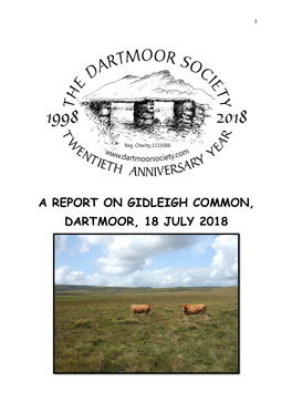 Gidleigh Common Day Report