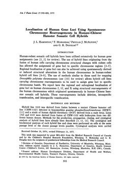 Chromosome Rearrangements in Human-Chinese Hamster Somatic Cell Hybrids J