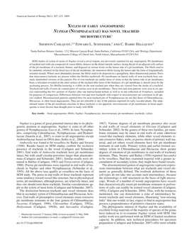 Nuphar (Nymphaeaceae) Has Novel Tracheid Microstructure 1