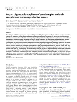 Effects of Maternal Exposure to Social Stress During Pregnancy