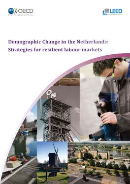 Demographic Change in the Netherlands: Strategies for Resilient Labour Markets | 2