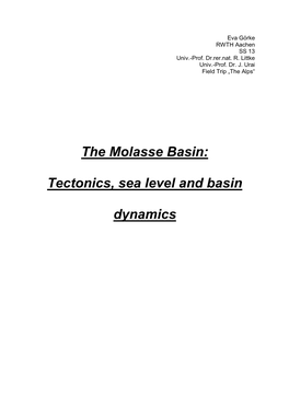 The Molasse Basin: Tectonics, Sea Level and Basin Dynamics