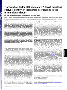 (Lhx7) Maintains Subtype Identity of Cholinergic Interneurons in the Mammalian Striatum