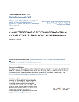 Characterization of Selective Inhibition of Adenylyl Cyclase Activity by Small Molecule Inhibitor Nky80