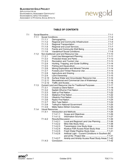 AMEC Report Template